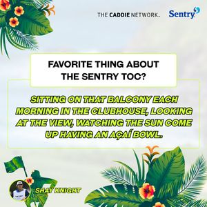 Image post by @CaddieNetwork on Twitter