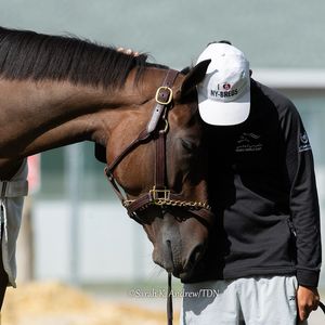Image post by @thoroughbred_daily_news on Instagram