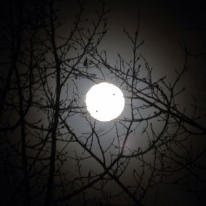 Image post by @skicrestedbutte on Instagram