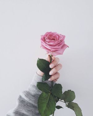 Image post by @kate.simple.life on Instagram