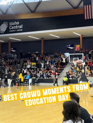 Image post by @vandalswbb on Instagram