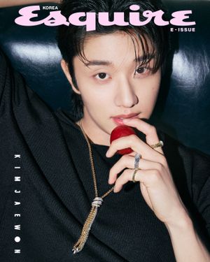 Image post by @esquire.korea on Instagram
