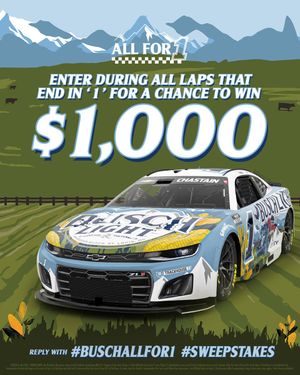 Image post by @BuschBeer on Twitter