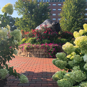 Image post by @marshallu on Instagram