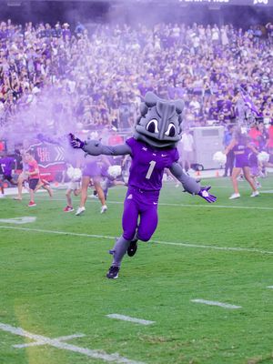 Image post by @tcu_athletics on Instagram