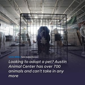 Image post by @statesman on Instagram
