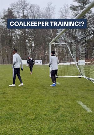 Video post by @nerevolution on TikTok