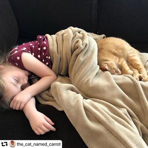 Image post by @ellendegeneres on Instagram
