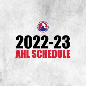 Image post by @theahl on Instagram
