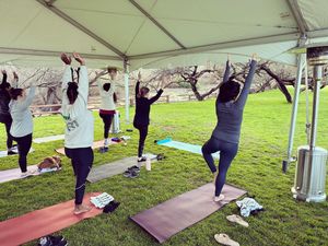 Image post by @yogapartylive on Instagram