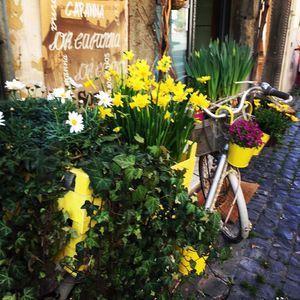 Image post by @robertaborsari on Instagram