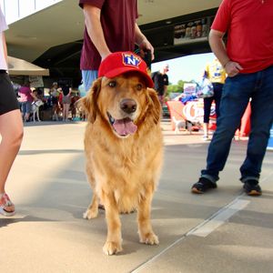 Image post by @nwanaturals on Instagram