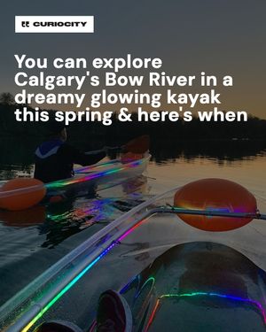 Image post by @curiocitycalgary on Instagram
