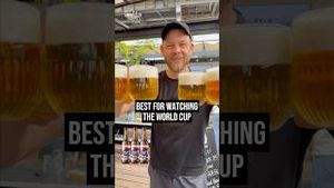 Video post by @brlobeer on YouTube