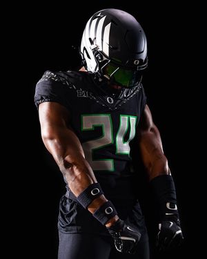 Image post by @goducks on Instagram