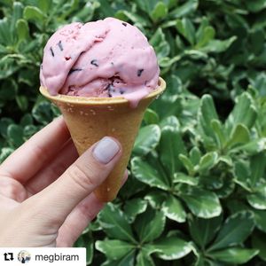 Image post by @theouterbanksnc on Instagram