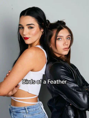 Image post by @brat on TikTok