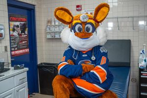 Image post by @swamprabbits on Instagram