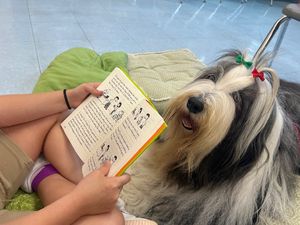 Image post by @coastalpetproducts on Instagram