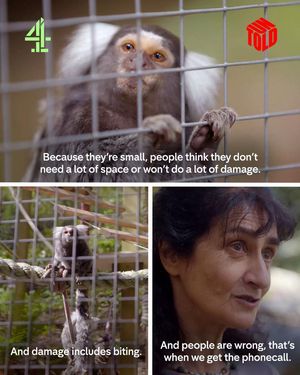 Video post by @untoldc4 on TikTok