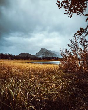 Image post by @chandlerwebercreative on Instagram