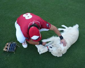 Image post by @MiLB on Twitter