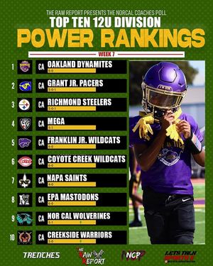 Image post by @the_rawreport on Instagram