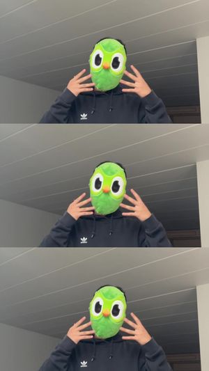 Video post by @duolingo on TikTok