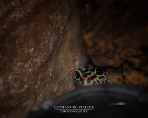 Image post by @lathanuelf_photos on Instagram