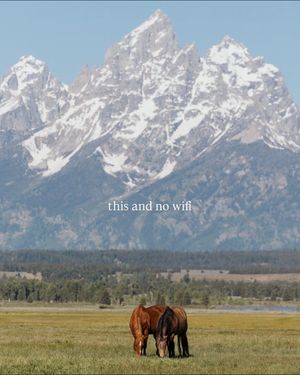 Image post by @cowgirlmagazine on Instagram