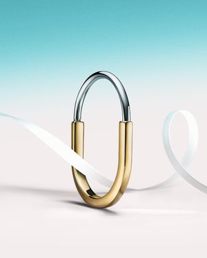 Image post by @tiffanyandco on Instagram