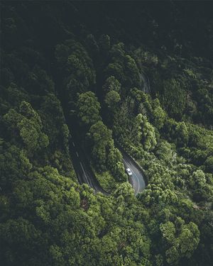 Image post by @kszczuka on Instagram