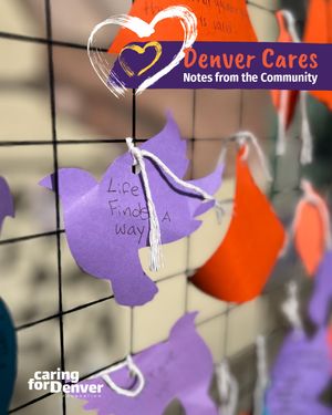 Image post by @caring4denver on Instagram