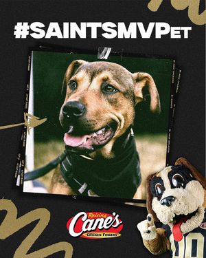 Image post by @saints on Instagram