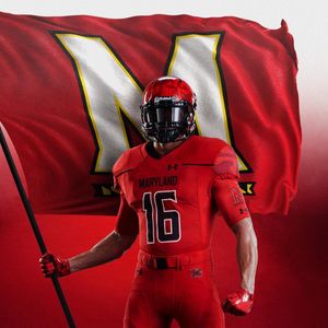 Image post by @marylandterrapins on Instagram