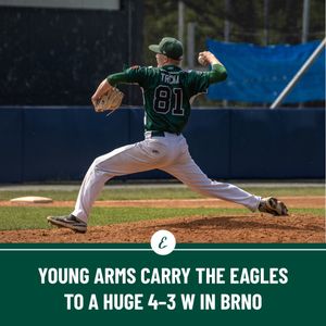 Image post by @BaseballCzech on Twitter