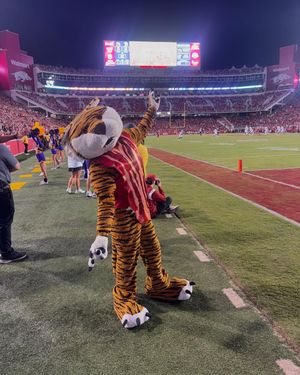 Image post by @lsumiketiger on Instagram