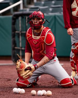 Image post by @bcbirdball on Instagram