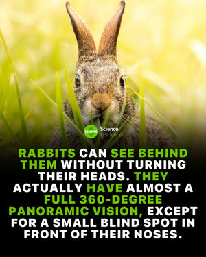 Image post by @science on Instagram