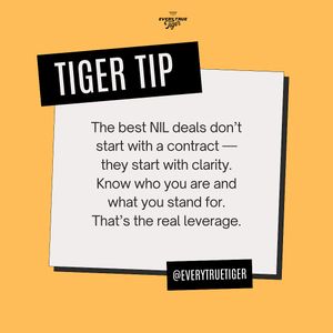 Image post by @everytruetiger on Instagram
