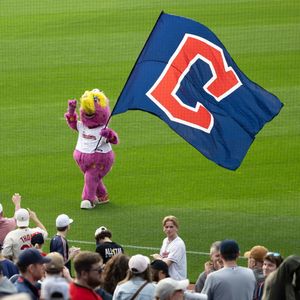 Image post by @sliderthemascot on Instagram