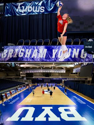 Image post by @arizonavolleyball on Instagram