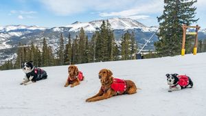 Image post by @breckenridgemtn on Instagram