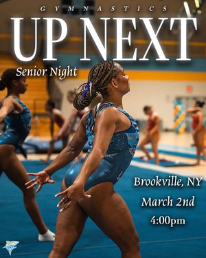 Image post by @liuwgymnastics on Instagram