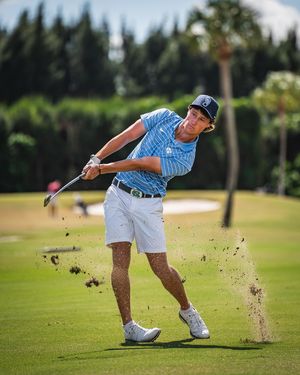 Image post by @bogarcreative on Instagram