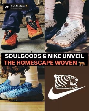 Image post by @soleretriever on Instagram