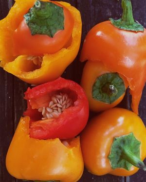 Image post by @williamslenses on Instagram