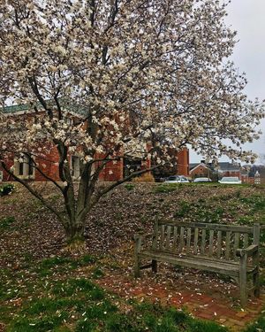 Image post by @ohio.university on Instagram