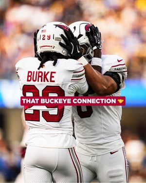 Image post by @azcardinals on Instagram