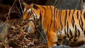 Video post by @bbcearth on YouTube